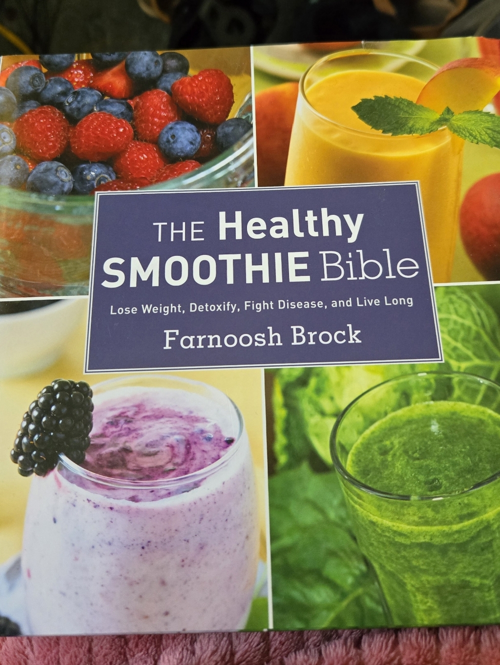 THE HEALTHY SMOOTHIE BOOK BIBLE